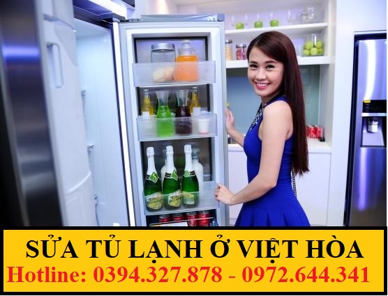 sua_tu_lanh_viet_hoa